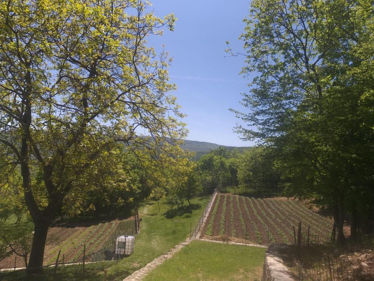 Apartman Ana Vrlika Exterior foto